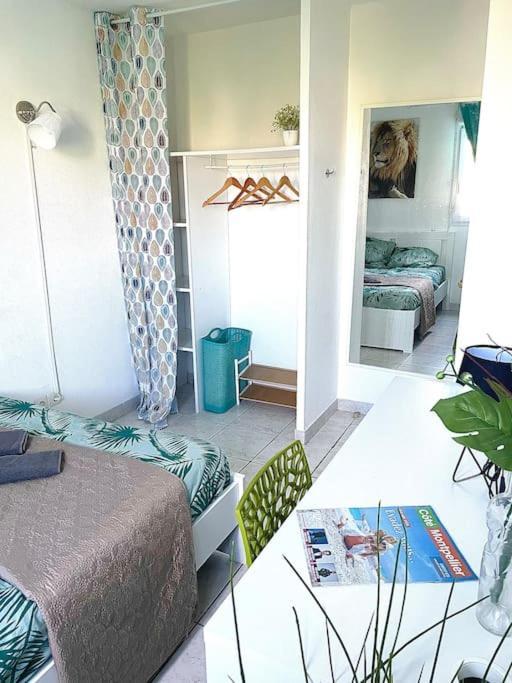 Appt Lumineux, Piscine, Wifi Apartment Montpellier Exterior foto